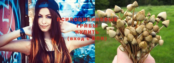 меф Пестово