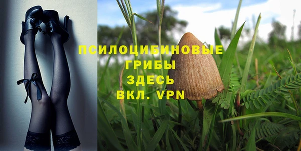 прущая мука Абаза